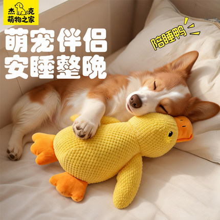 狗狗玩具毛绒发声幼犬小狗宠物比熊泰迪柯基磨牙耐咬自嗨解闷神器