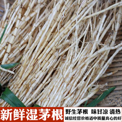 广东高州新鲜野生茅草根竹蔗凉茶