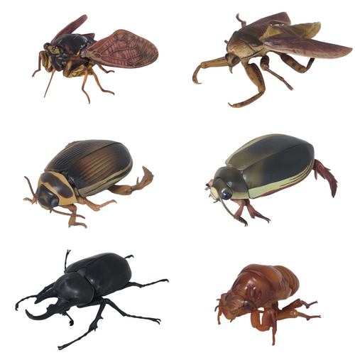 正版散货 万代生物仿真图鉴动物模型昆虫蝉 龙虱可动模型