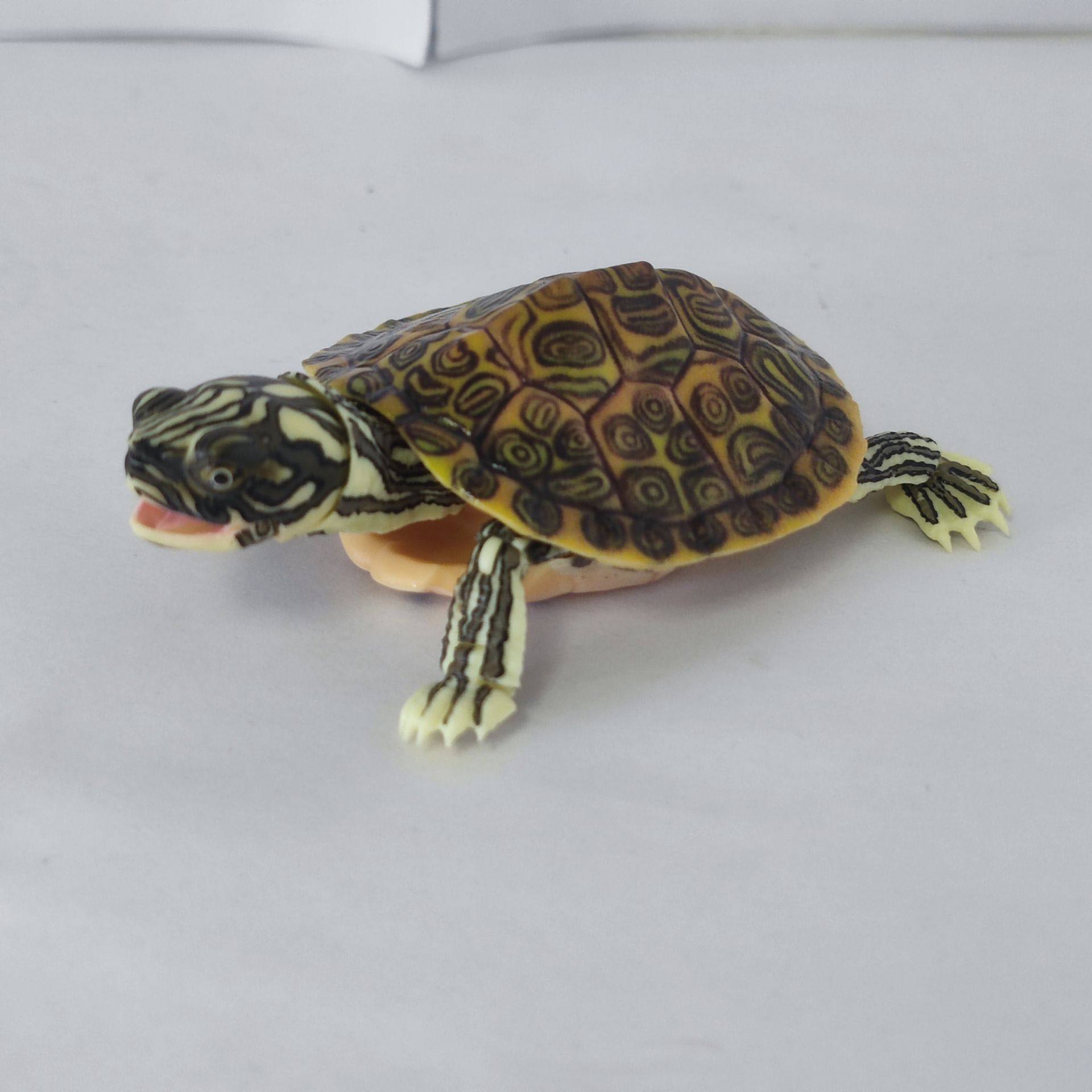 正版散货 万代生物仿真图鉴巴西龟乌龟长约10cm可动模型