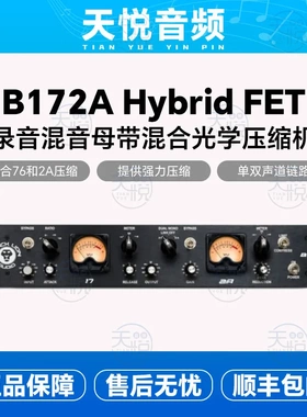 黑狮Black Lion B172A Hybrid FET 录音混音母带混合光学压缩机