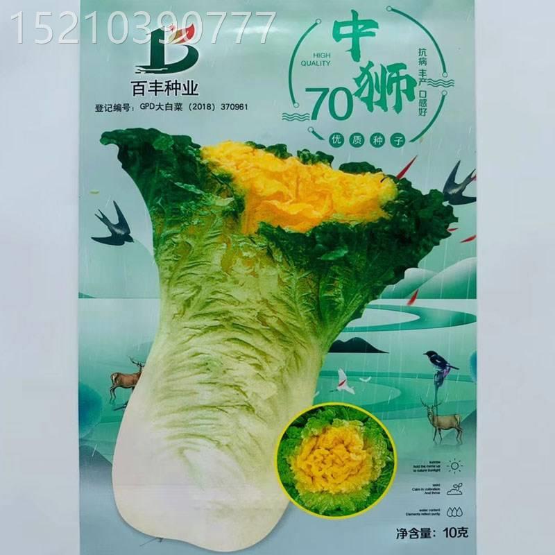 中狮头大白菜种子秋播黄心菜种籽山东百丰黄芽菜农家秋冬白菜种籽