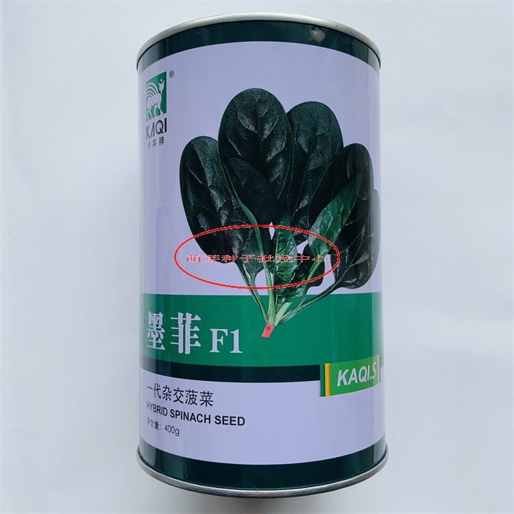 墨菲/至尊/烈日金刚菠菜种子耐寒耐热耐抽苔大叶高产春秋菠菜种子