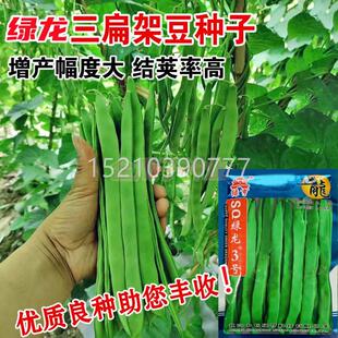 绿龙宽扁豆种青子蔬二春扁三扁芸JJS豆角种子菜籽四季豆秋扁架豆