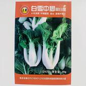 正源白雪中脚甜白菜种子束黑白配菜肥种HOU子矮桩叶柄厚南腰方四