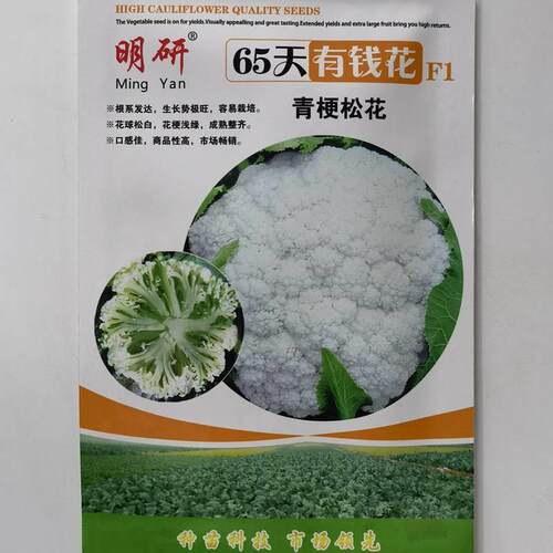 明研青65天有钱花梗松API菜花种子优质产耐高热耐湿花菜春秋花椰