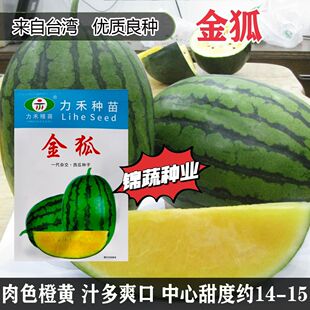 源于台湾金狐冰糖黄瓤冰淇淋西瓜种子特甜皮薄耐裂高糖大果型西瓜