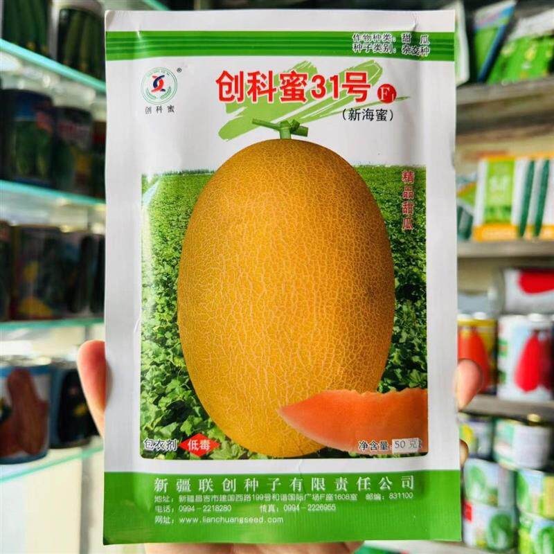 创科蜜31号 新疆哈密瓜种子甜瓜种籽黄皮桔红肉甜瓜香瓜水果种孑