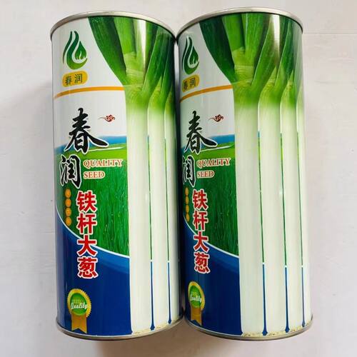 春润铁杆大葱种子长白葱抗寒抗热春秋播巨葱种籽高抗病大葱蔬菜种