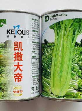 凯撒大帝强芹菜种子绿叶柄亮有光泽纤维WLC少高产抗病免芽西芹催