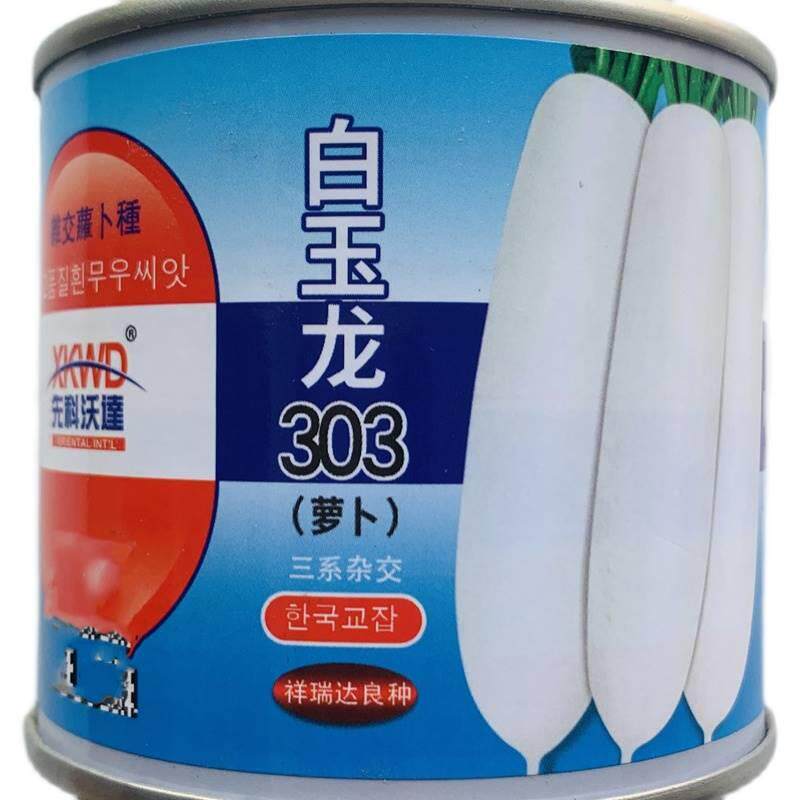 白玉303萝卜种籽龙韩国引进代杂交白萝卜种子一 根ZOE皮滑光白色