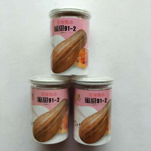 信研甜蜜19-2蜜本南瓜种子大果甜面肉厚蜜本南瓜倭瓜种子籽孑大田