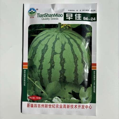 天山种业早佳84-24西瓜种子优选抗裂抗病大果杂交8424西瓜种籽LT