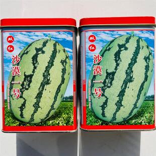 双红沙漠一号西瓜种子易坐果抗病王西瓜种孑红皮薄耐运输花皮包邮