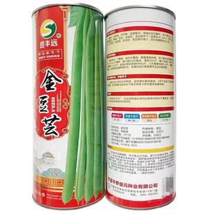 种金芸豆种子RVX中早熟四季豆角豆角架梅豆梅豆孑无地豆子产量高