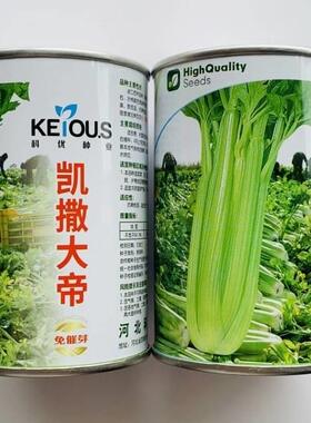 泽芹菜种凯撒大帝西芹种子叶柄亮绿有光纤VPY维少子产抗病强芹高
