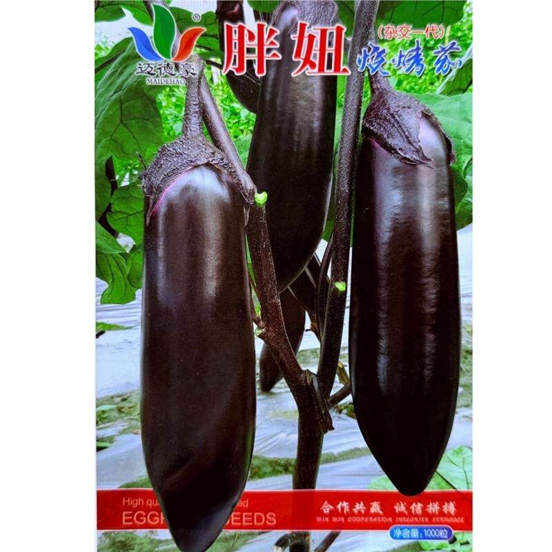 胖妞烧烤茄种子春秋季农家菜园紫黑长茄种籽皮薄籽少粗棒茄子种孑