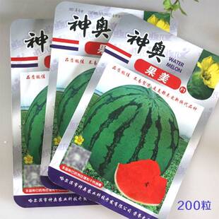 美都西瓜种子【神奥果美】早中熟花皮圆形红心皮薄耐裂杂交种春秋