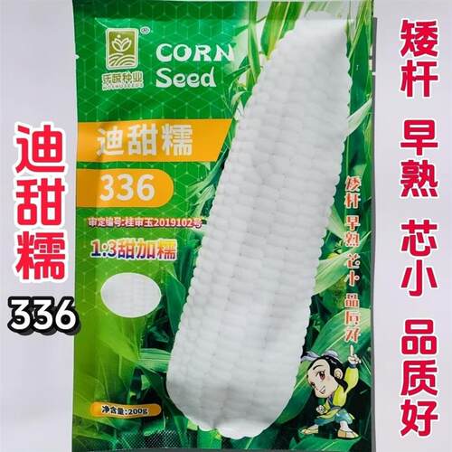 迪甜糯336甜糯玉米种籽早熟矮杆大棒白粘糯玉米种子春秋种植