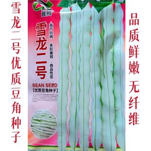 雪龙二号优质豆角种子无纤维丰产抗病四季豆种籽春秋播种梅豆种孑