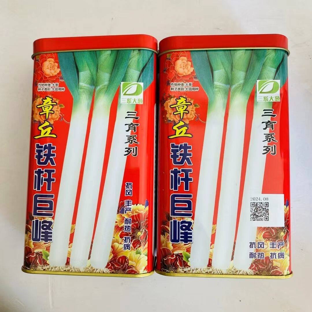 山东正宗章丘大梧桐铁杆大葱种子四季播种耐寒葱白长高产抗风包邮