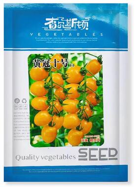 黄冠十号无限生长型番茄子深黄色果口OUP易感佳耐贮运黄不裂果产