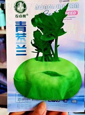 青蓝苤兰种子紫苤蓝种兰籽高产菜蔬菜孑籽种芥头芥球茎ITP水籽果