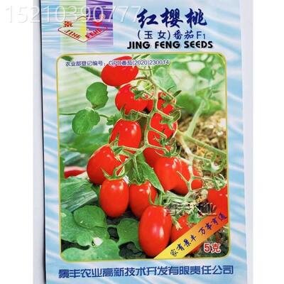 红樱桃番茄种子牛奶番黄IDR茄种籽春季四季水小西秋红柿果玲彩黄