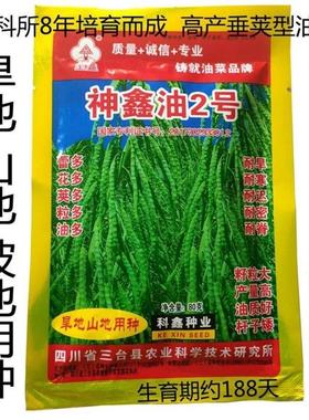 神达鑫2油宜LCJ号旱地山地专用油菜种子亩产可800斤垂荚型田地不
