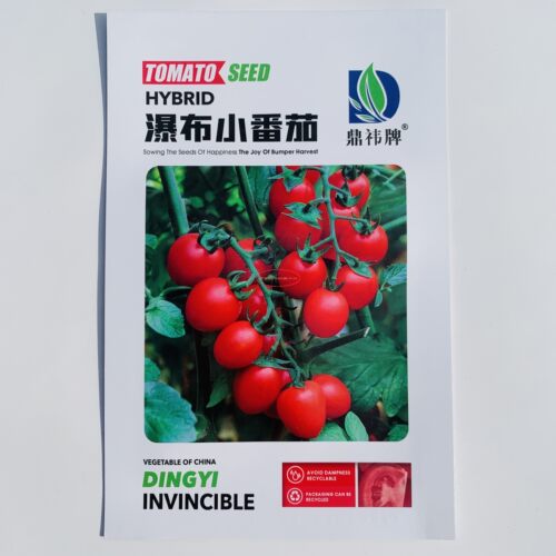 瀑布小番茄种子千禧樱桃西红柿超甜圣女果种籽苗四季播苗蔬菜种孑