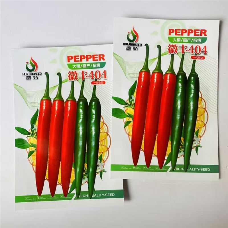 徽丰404大果美人椒种子中熟杂交高产海花红辣椒种籽较大型尖椒孑