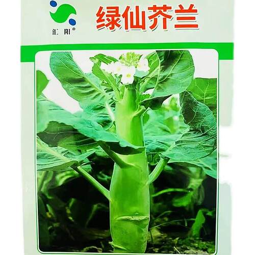 绿仙甜芥兰子主性苔粗壮种肥大质ADS脆鲜高产抗逆商品佳农家春秋