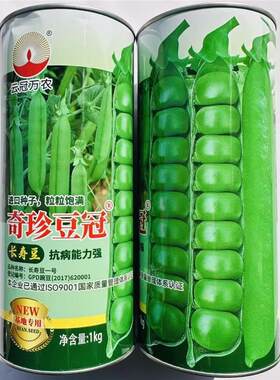 奇珍豆冠原装进口籽豌豆种子高抗白粉病白花绿荚抗病产量高春秋播