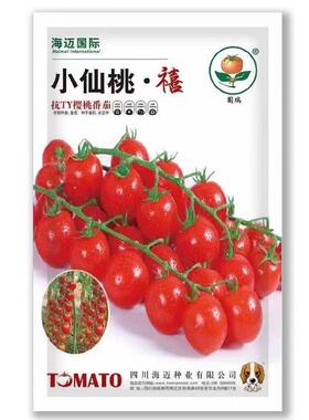 小仙桃禧抗用TV耐红色桃番樱茄种子颜色好耐裂储存早熟基FSZ地专