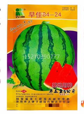 疆农正康人农早佳8424西瓜种子BTY纯宗精品蔬新菜种籽圆大户基地