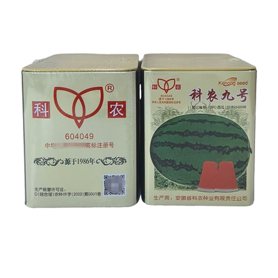 科农九号中晚熟大果西瓜种子椭圆形绿花皮大红瓤质脆皮坚韧重15kg