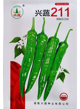 兴蔬211软皮辣椒种子早熟长尖椒皮薄微皱软皮口感好中辣高产种籽
