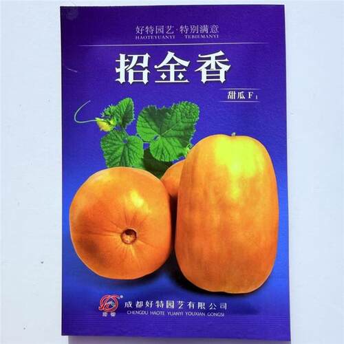 好特招金香甜瓜种子极早熟黄皮肉黄白色香瓜口感松脆甜耐湿热抗病