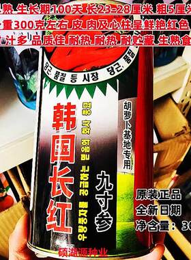 九韩国长红热寸参胡卜种子耐耐寒高产抗病萝整齐优质胡DBY萝卜春