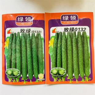 致绿0132黄瓜种子果肉绿色耐高温高湿高抗病春秋播种蔬菜种籽