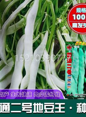 梅豆泰无筋架豆王种籽菜豆无筋无国四季种豆子地ULI豆王柴二号压