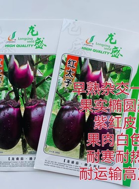 紫皮茄子龙盛红太子茄子种子早熟果实椭圆形耐寒性强耐热高产早熟