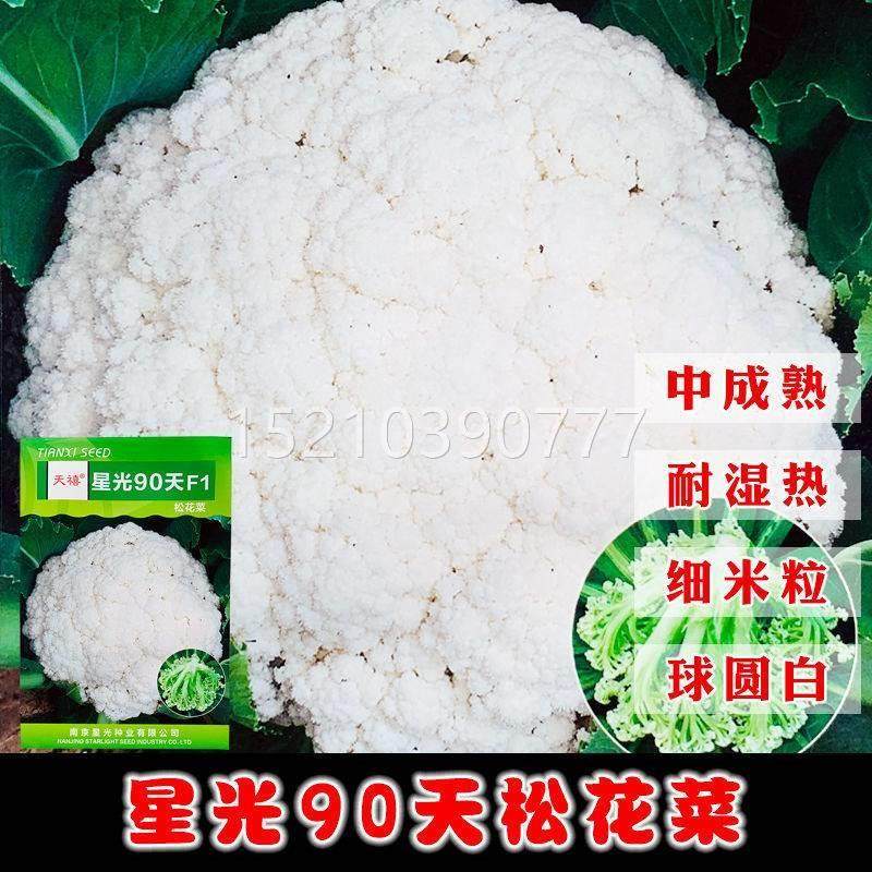 天禧星光90天花菜种子小包松花80装天有机花菜农家vyb小院种植