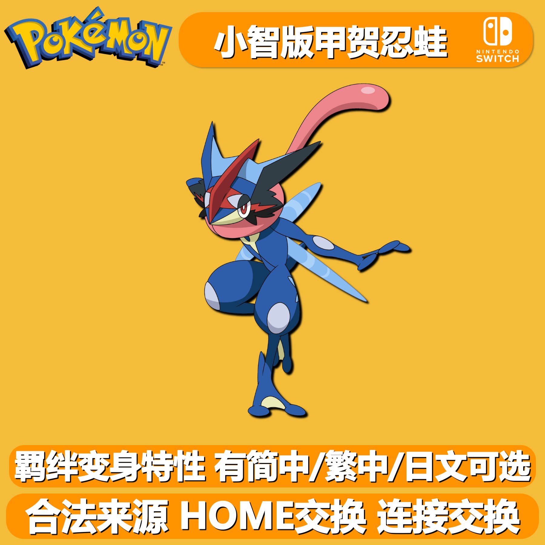 小智版甲贺忍蛙羁绊变身特性 NSwitch宝可梦朱紫智蛙精灵交换HOME - 实物图