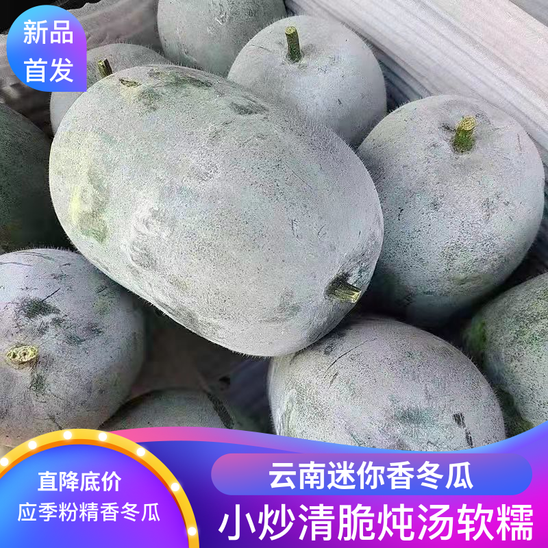 云南香冬瓜新鲜迷你小冬瓜冰川翠玉袖珍蜡粉挂霜粉面农家自种蔬菜,水产肉类/新鲜蔬果/熟食,其它,淘宝优惠券,粉丝福利购,淘宝优惠卷