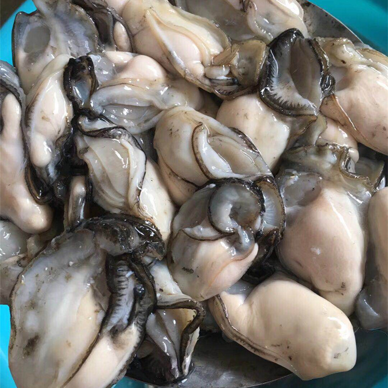 汫洲生蚝肉海捕鲜活水产现剥新鲜生蚝