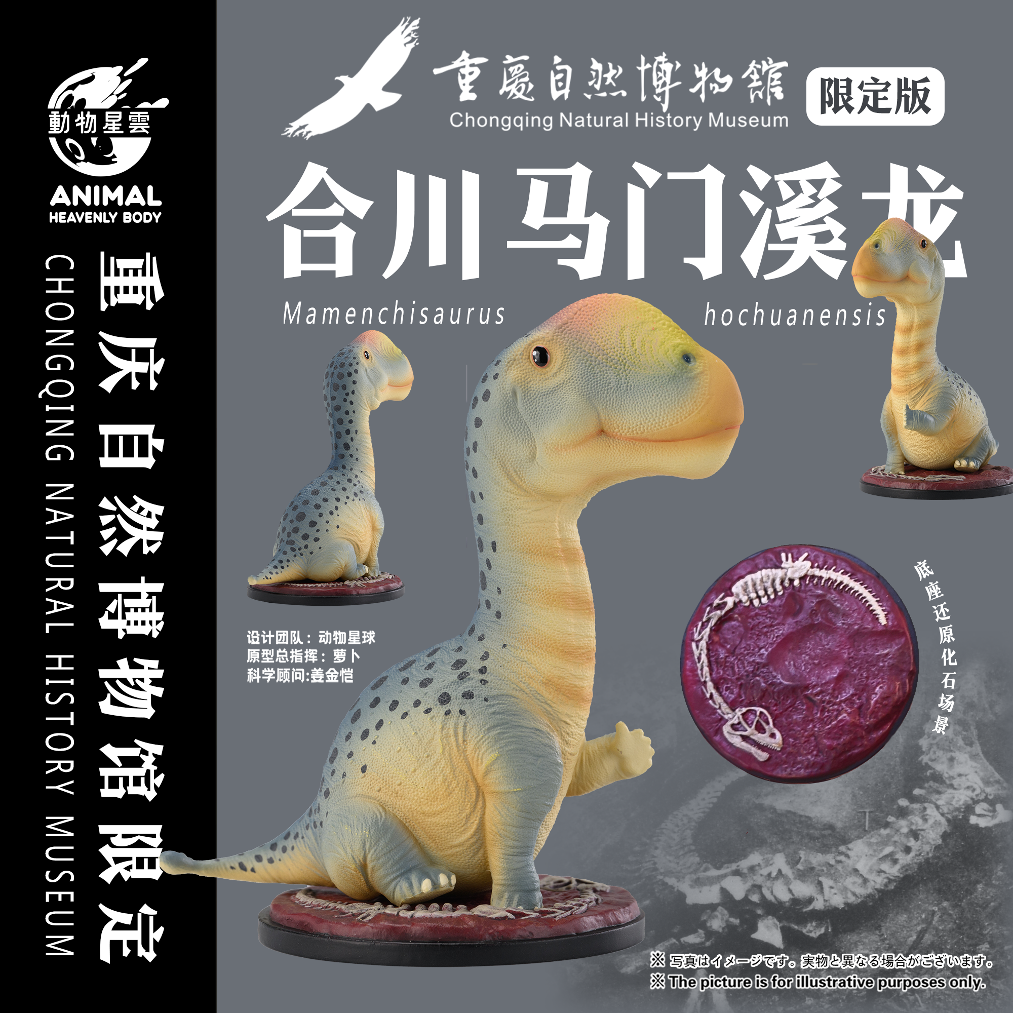 新品！重庆自然博物馆x动物星云 合川马门溪龙 手办 模型