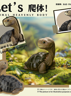 动物星云xBADPANDA Let‘s 爬体系列第二弹 加拉帕戈斯象龟 手办