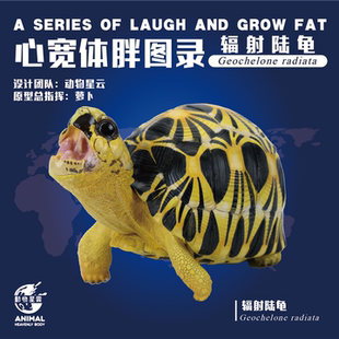 爆款！动物星云 心宽体胖系列 小张嘴辐射陆龟 手办 模型