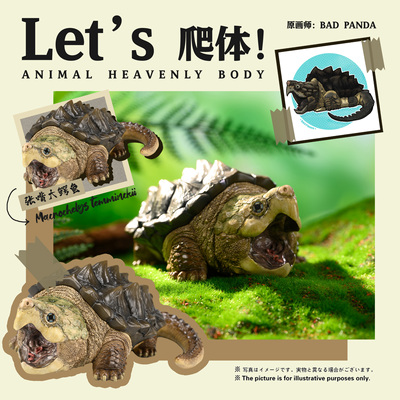 动物星球Let's爬体鳄龟